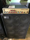 David Eden  WT800 Bass head