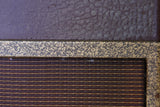 1956 Gibson GA40 Two Tone 